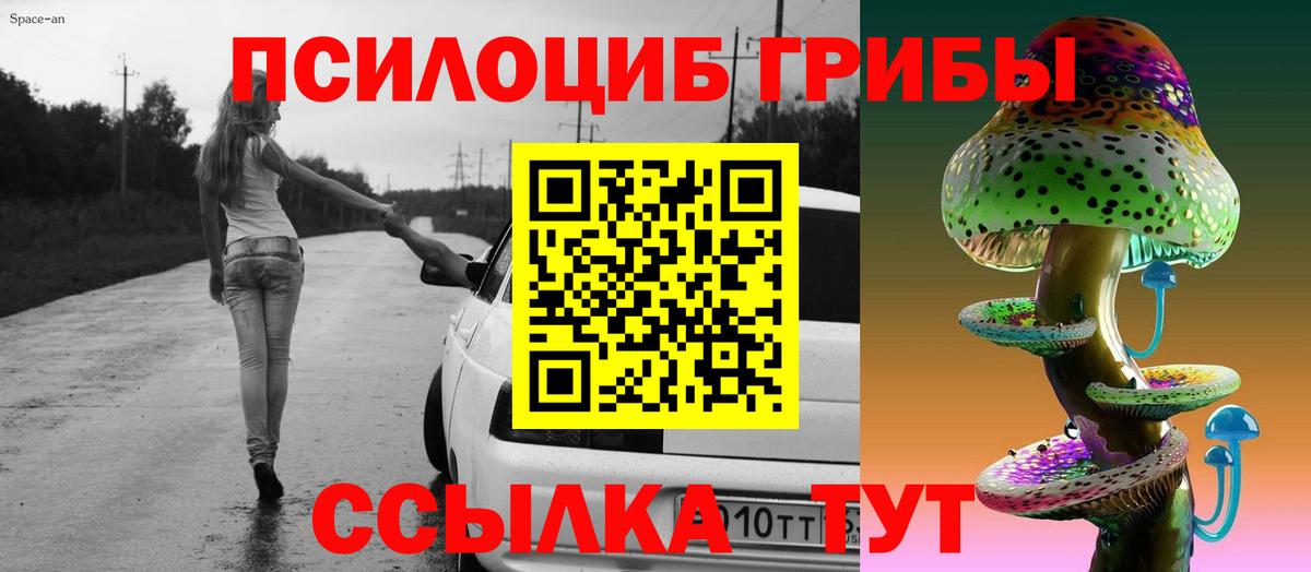 Котельники  Псилоцибиновые грибы GOLDEN TEACHER  Вход с VPN  Галлюциногенные грибы Psilocybine cubensis 